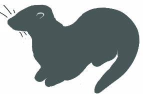 saukko